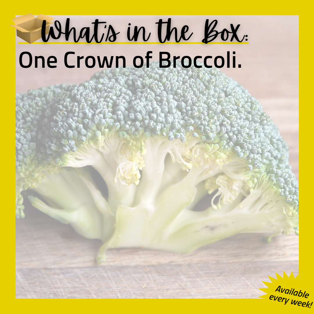 (E) Fresh Broccoli
